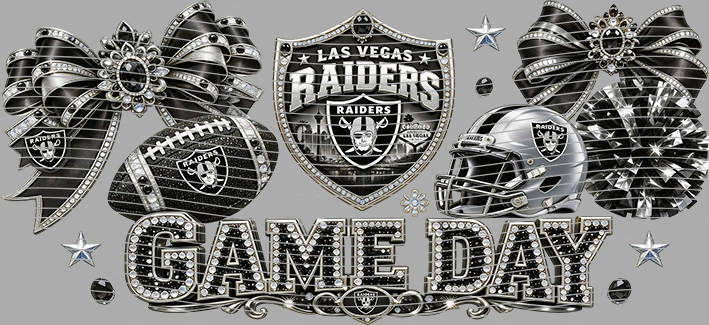 16oz team-NFL 3608